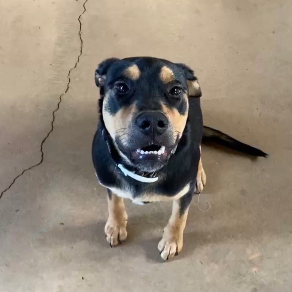 Meet your Posher, Kasia